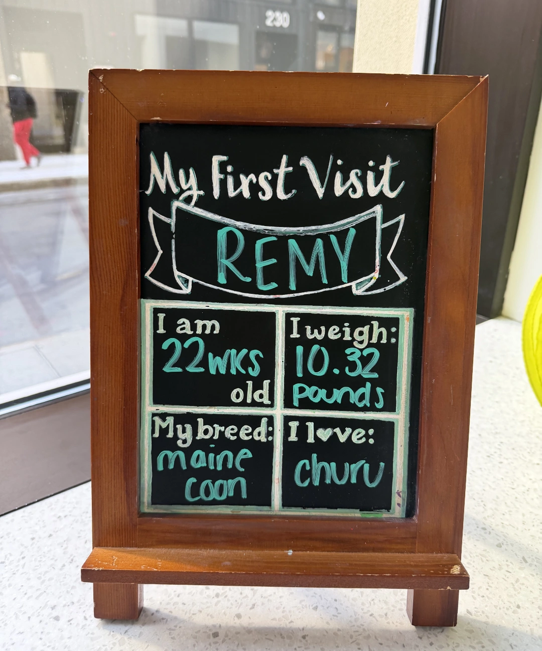 Remy's day out