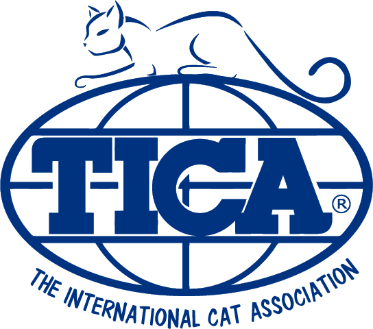 TICA registered Maine Coon breeder – DLuxxy Cattery, Sierra Vista Arizona