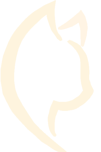 DLuxxy Logo
